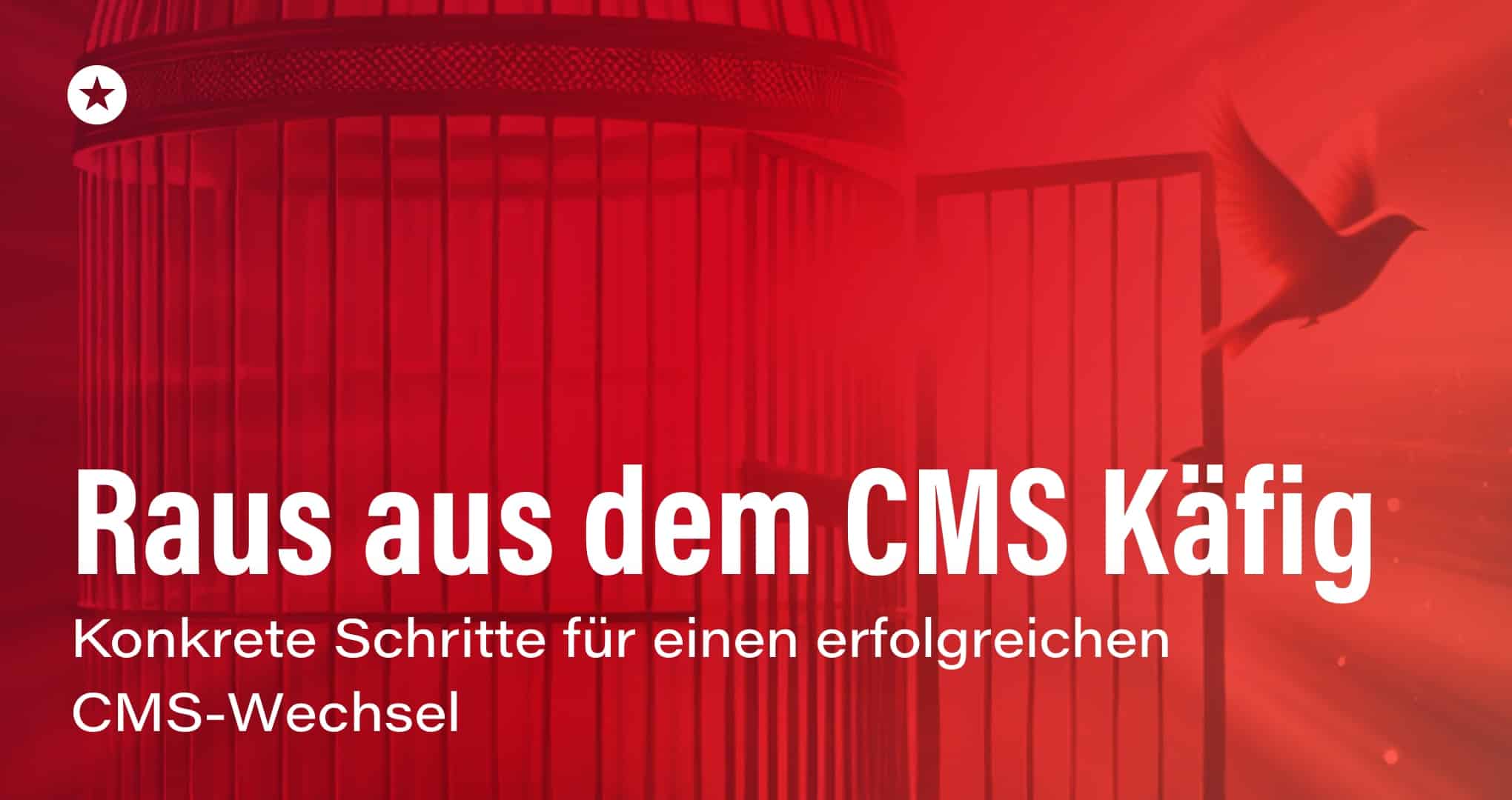 Beitrag: Der Weg in die digitale Freiheit: Konkrete Schritte für Ihren CMS-Wechsel