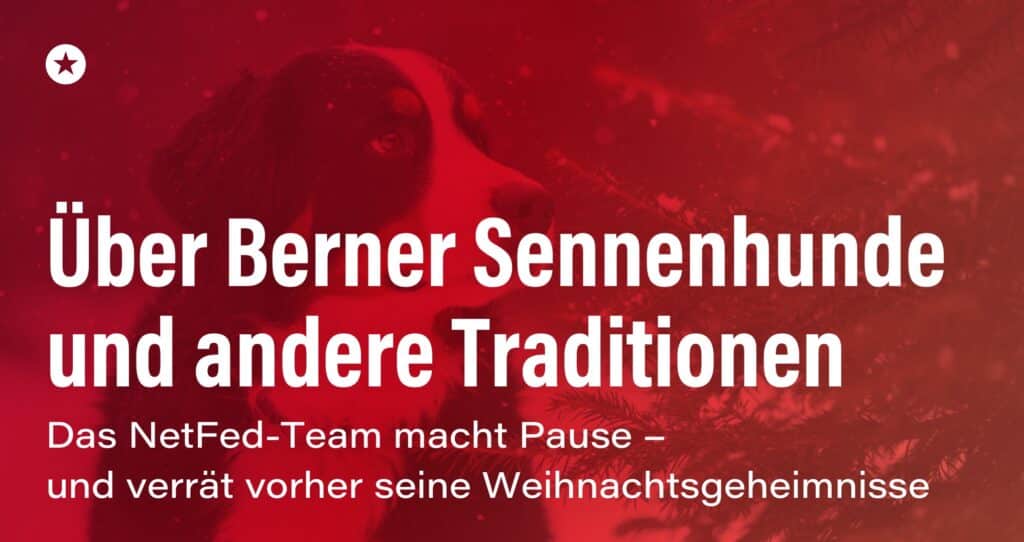 Blogpost: Was ein Berner Sennenhund mit unserem Weihnachtsurlaub zu tun hat (Spoiler: viel!)